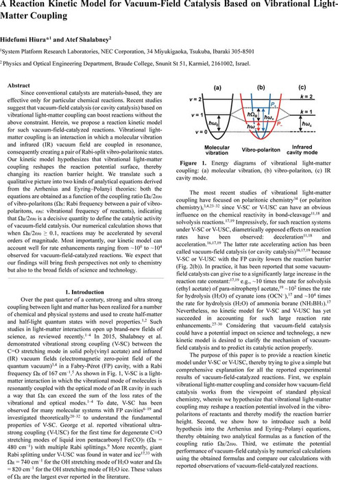 A Reaction Kinetic Model For Vacuum Field Catalysis Based On