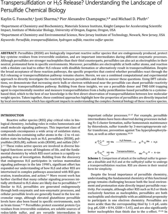 Transpersulfidation Or H S Release Understanding The Landscape Of