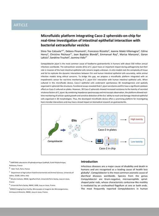 Microfluidic Platform Integrating Caco Spheroids On Chip For Real