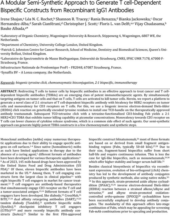 A Modular Semi Synthetic Approach To Generate T Cell Dependent