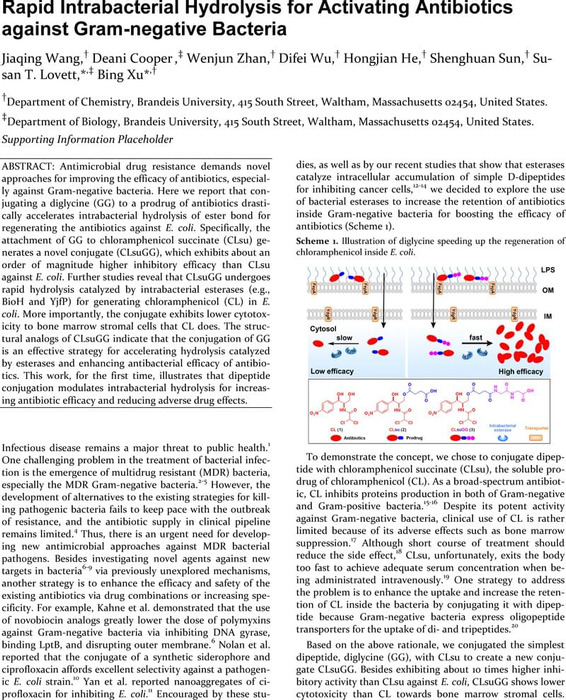 Rapid Intrabacterial Hydrolysis For Activating Antibiotics Against Gram Negative Bacteria Biological And Medicinal Chemistry Chemrxiv Cambridge Open Engage