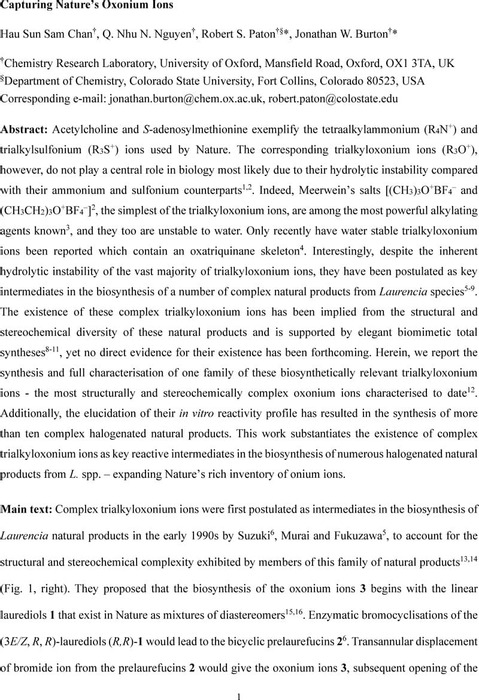 Thumbnail image of Oxonium Paper_ChemRxiv.pdf