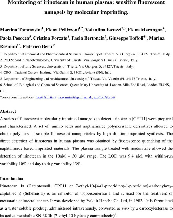 Thumbnail image of Tommasini Irinotecan_MT04.06.pdf