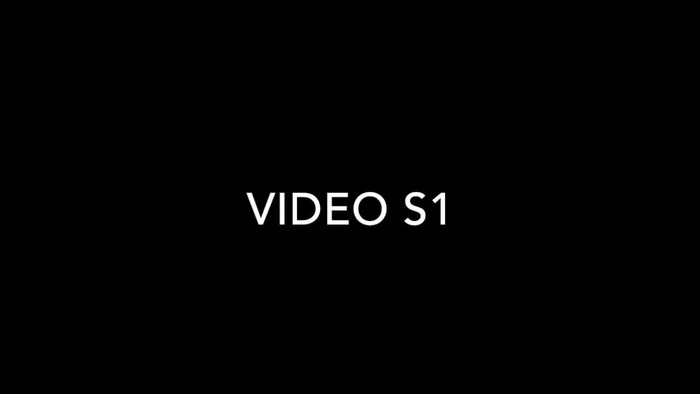 Thumbnail image of Video S1.mp4