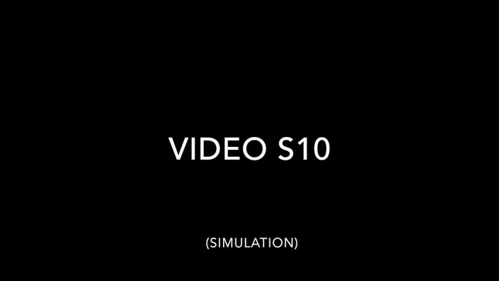 Thumbnail image of Video S10.mp4