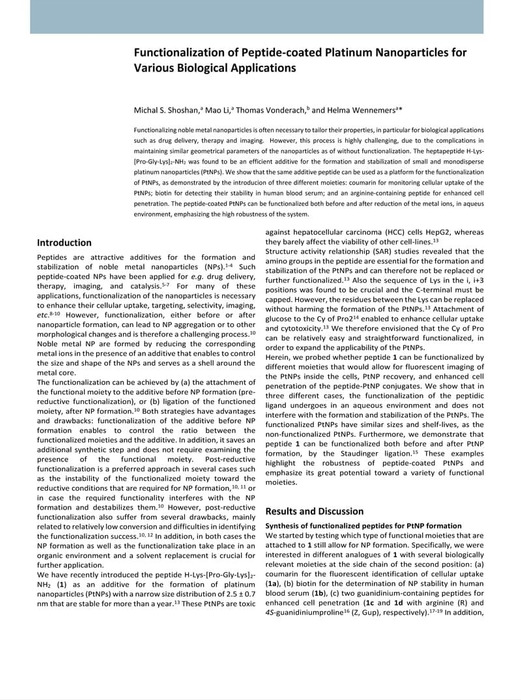 Thumbnail image of Functionalization.pdf