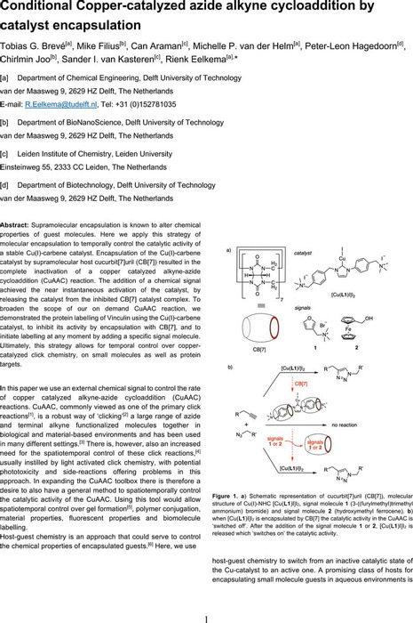 Thumbnail image of ChemRXiv template.pdf