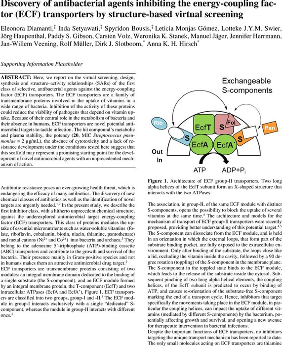 Thumbnail image of Discovery of antibacterial agents inhibiting the energy-coupling factor (ECF) transporters by structure-based virtual screening.pdf