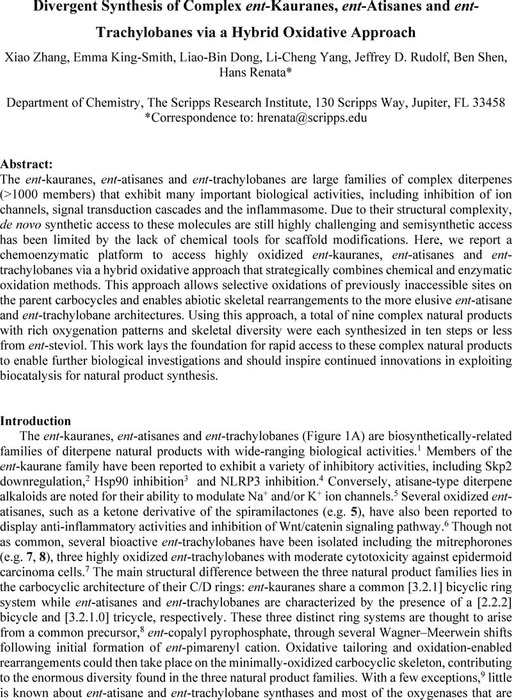 Thumbnail image of Kaurane 032020 Chemrxiv.pdf