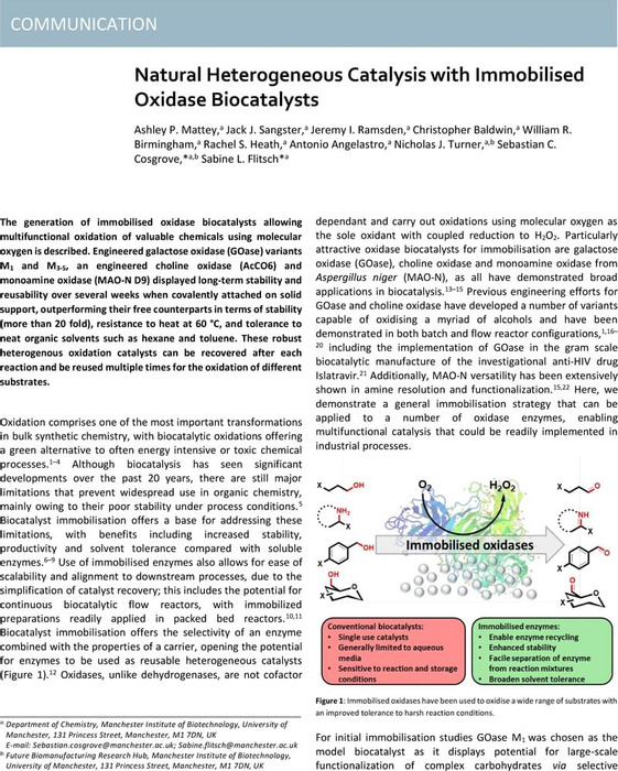 Thumbnail image of Natural Heterogeneous Catalysis with Immobilised Oxidase Biocatalysts ChemRxiv.pdf