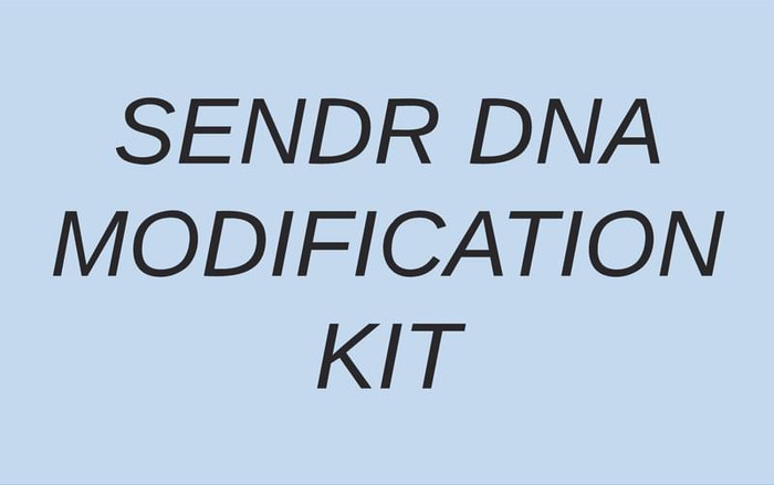 Thumbnail image of DNA Modification Kit Booklet_For web.pdf