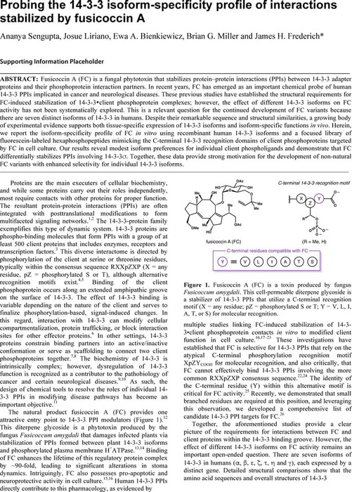 Thumbnail image of JHF6 ChemRxiv v2.pdf