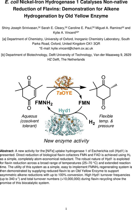 Thumbnail image of Joseph Srinivasan, S et al, 2020, E coli hydrogenase flavin recycling unlinked.pdf