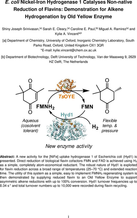 Thumbnail image of 20.05.07_Joseph Srinivasan, S et al, 2020, E coli hydrogenase flavin recycling unlinked.pdf
