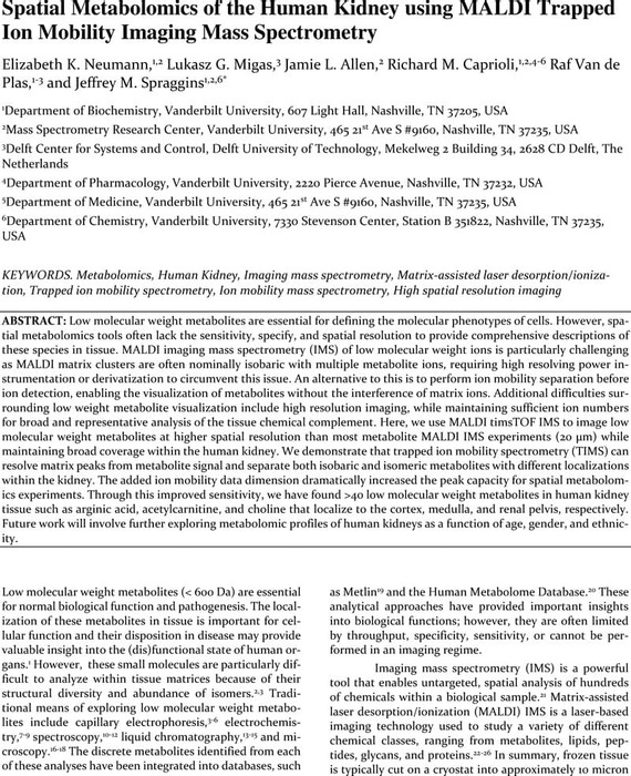 Thumbnail image of Neumann_AnalChem_LMWmetabolites_20200511_Submitted version.pdf