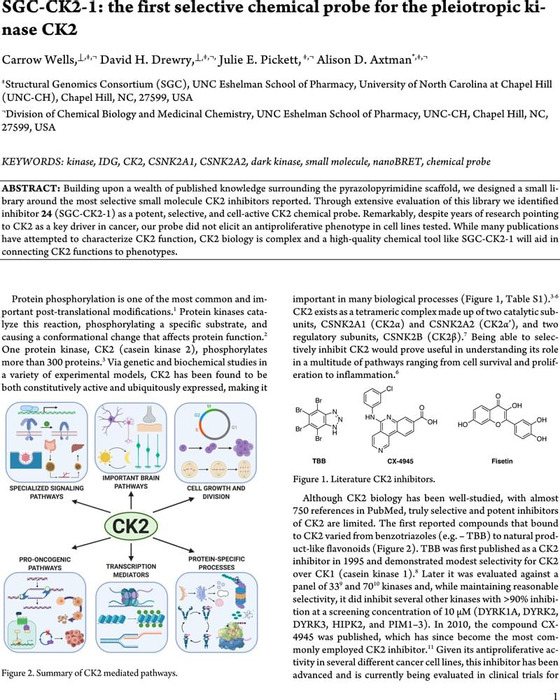 Thumbnail image of CK2 ChemRxiv for submission.pdf