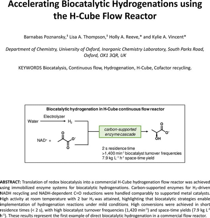 Thumbnail image of Poznansky_2020_Biocatalysis in the H-cube.pdf