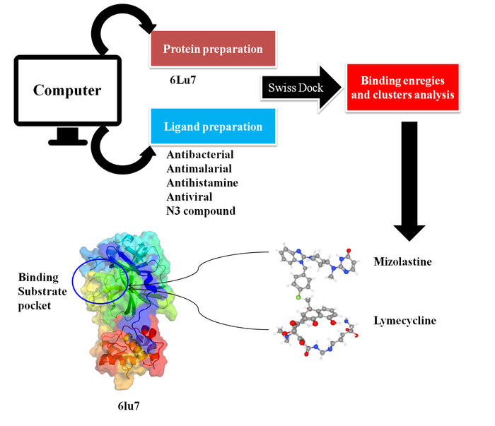 Molecular Docking Study of COVID-19 Main Protease with Clinically ...