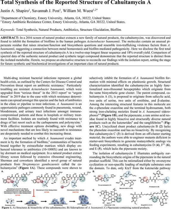 Thumbnail image of Wuest Cahuitamycin Manuscript ChemRxiv V1.pdf