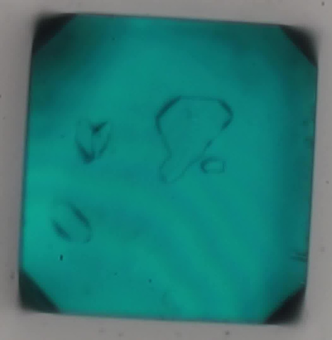 Thumbnail image of DUT49-Cu-Single Crystal Evaporation croped 10x.avi