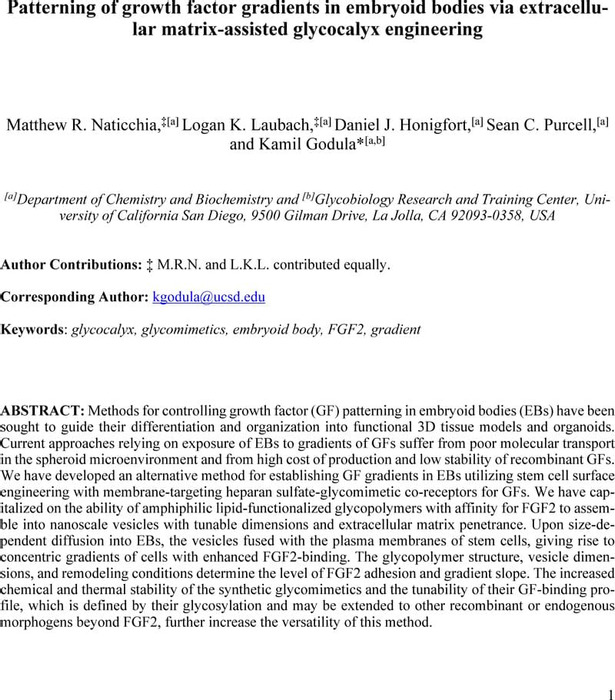 Thumbnail image of Matrix mediated EB remodeling_chemarxiv.pdf