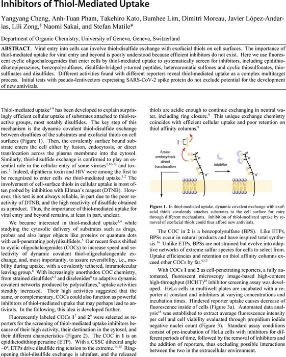 Thumbnail image of Inhibitors_of_Thiol-Mediated_Uptake.pdf