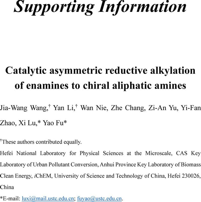 Thumbnail image of reductive alkylation of enamines-Supporting Information-20200919.pdf