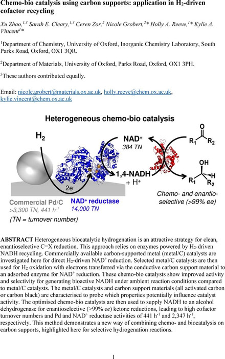 Thumbnail image of Chemo-bio catalysis using carbon supports_application in H2-driven cofactor recycling.pdf