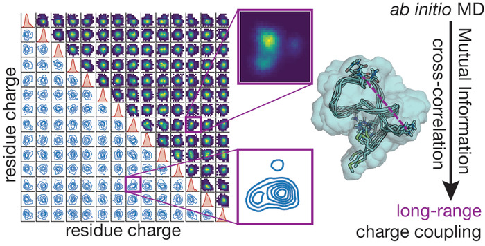 Thumbnail image of 1-TOC_charge_coupling.tiff