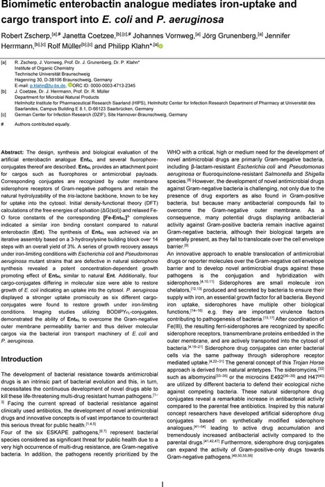 Biomimetic Enterobactin Analogue Mediates Iron-Uptake and Cargo ...