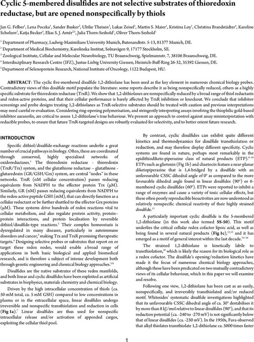 Cyclic 5-Membered Disulfides Are Not Selective Substrates of ...