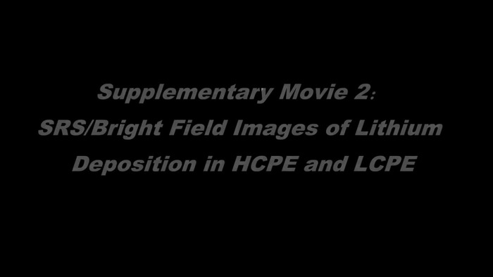Thumbnail image of Suppl Movie 2.mp4