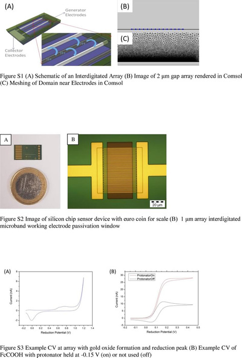Thumbnail image of theoritical and simulation study_Supp info.pdf