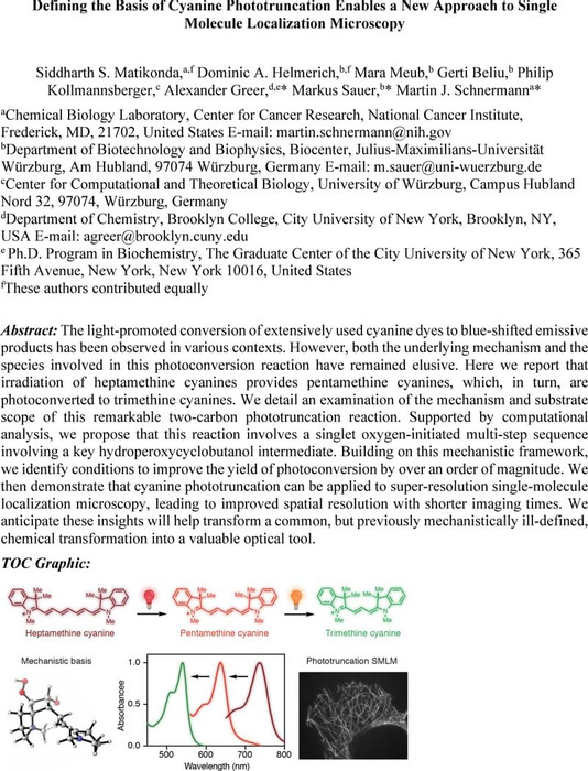 Thumbnail image of Cyanine Phototruncation.pdf