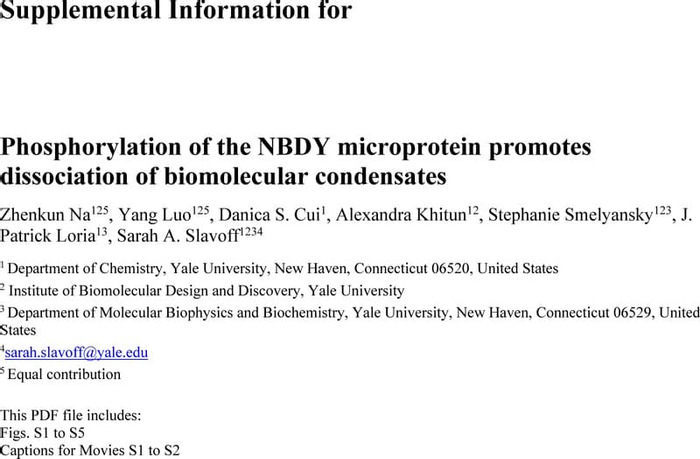 Thumbnail image of NBDY Phosphorylation SI.pdf