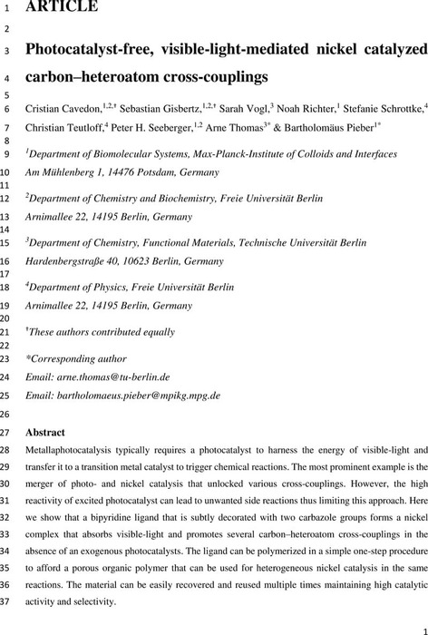Thumbnail image of manuscript_draft_0208.pdf