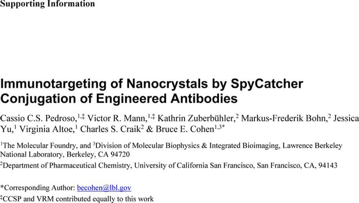 Thumbnail image of Pedroso SpyCatcher Ab Nanoparticles SI.pdf