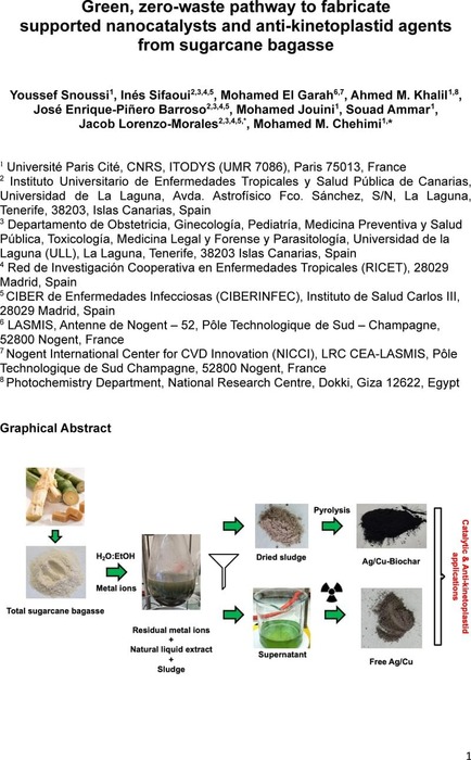 Thumbnail image of Zerowaste_2022 03 31 ChemRxiv Bis.pdf