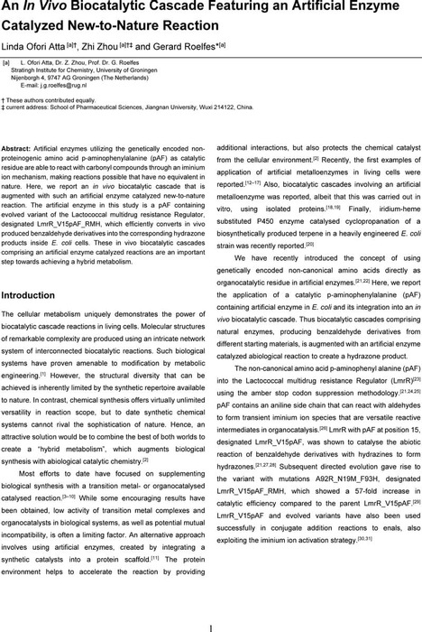 An In Vivo Biocatalytic Cascade Featuring an Artificial Enzyme ...