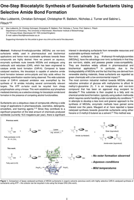 Thumbnail image of Surfactant paper chemrxiv.pdf