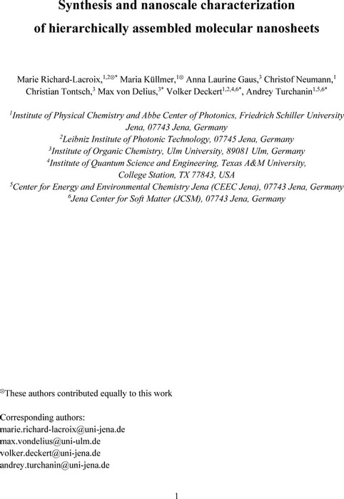 Thumbnail image of Co-CNMs manuscript_20211125.pdf