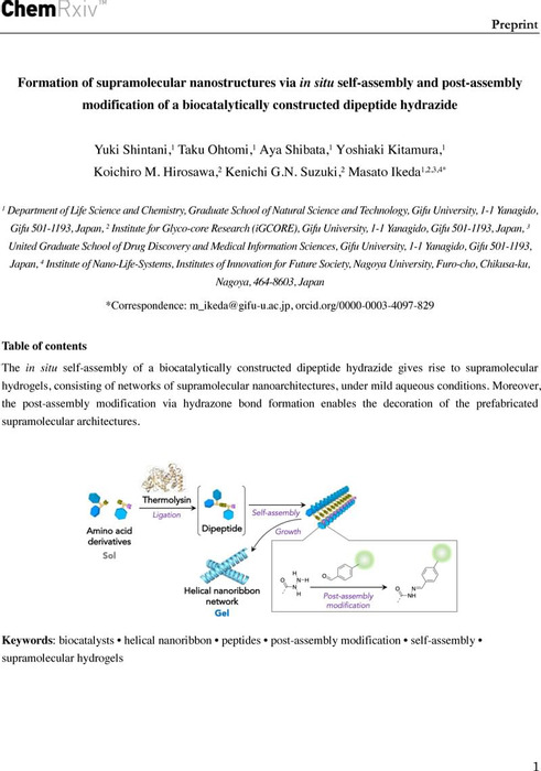 Formation Of Supramolecular Nanostructures Via In Situ Self-assembly ...