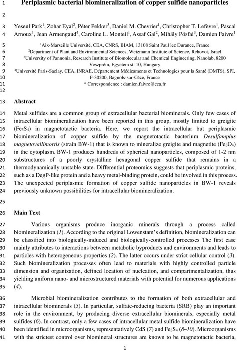 Periplasmic bacterial biomineralization of copper sulfide nanoparticles ...