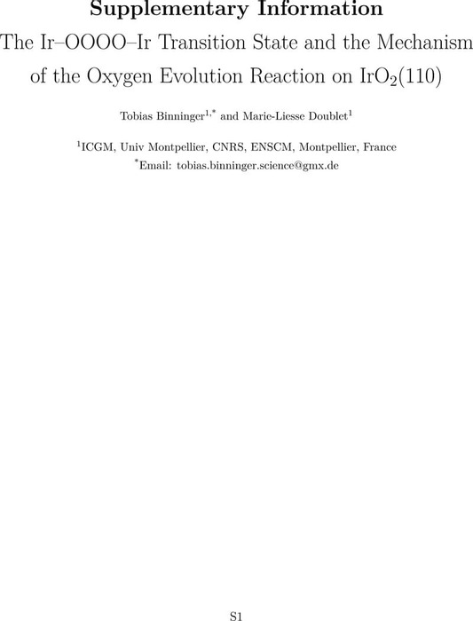 Thumbnail image of OER_mechanism_IrO2_110_SI.pdf
