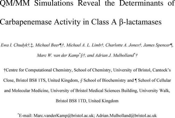 Thumbnail image of QMMM Simulations Reveal the Determinants of Carbapenemase Activity in Class A β-lactamases.pdf