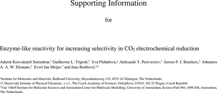 Thumbnail image of Supporting_Information_CO2RR.pdf