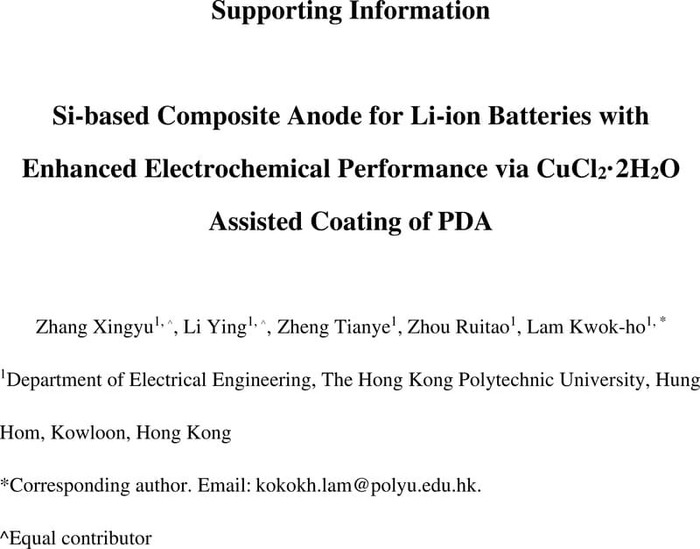 Thumbnail image of Supporting.pdf