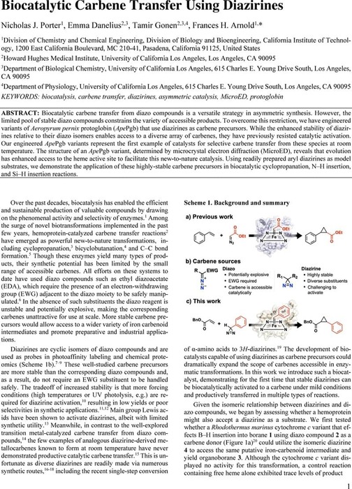 Thumbnail image of Diazirines_Final.pdf