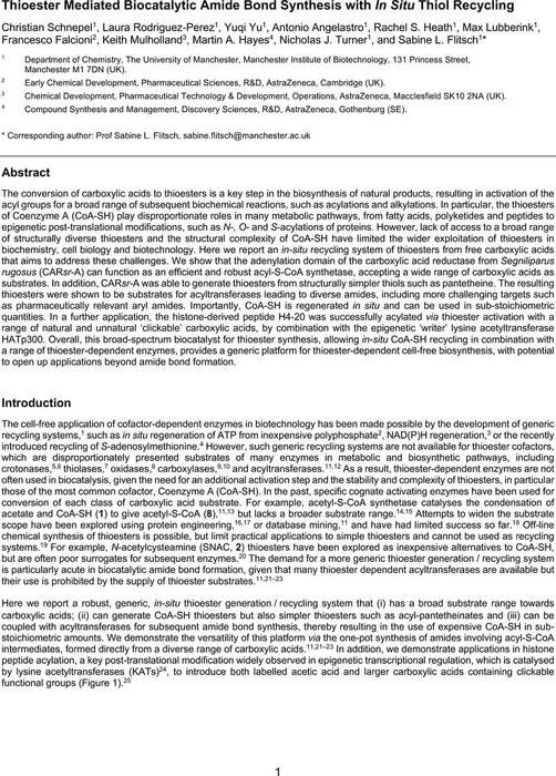 Thumbnail image of 2022-05-02_Acyl-S-CoA_synthetase_CARsr_amide_synthesis.pdf