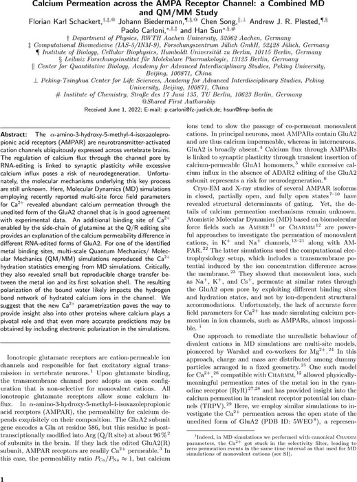 Calcium Permeation across the AMPA Receptor Channel: a Combined MD and ...